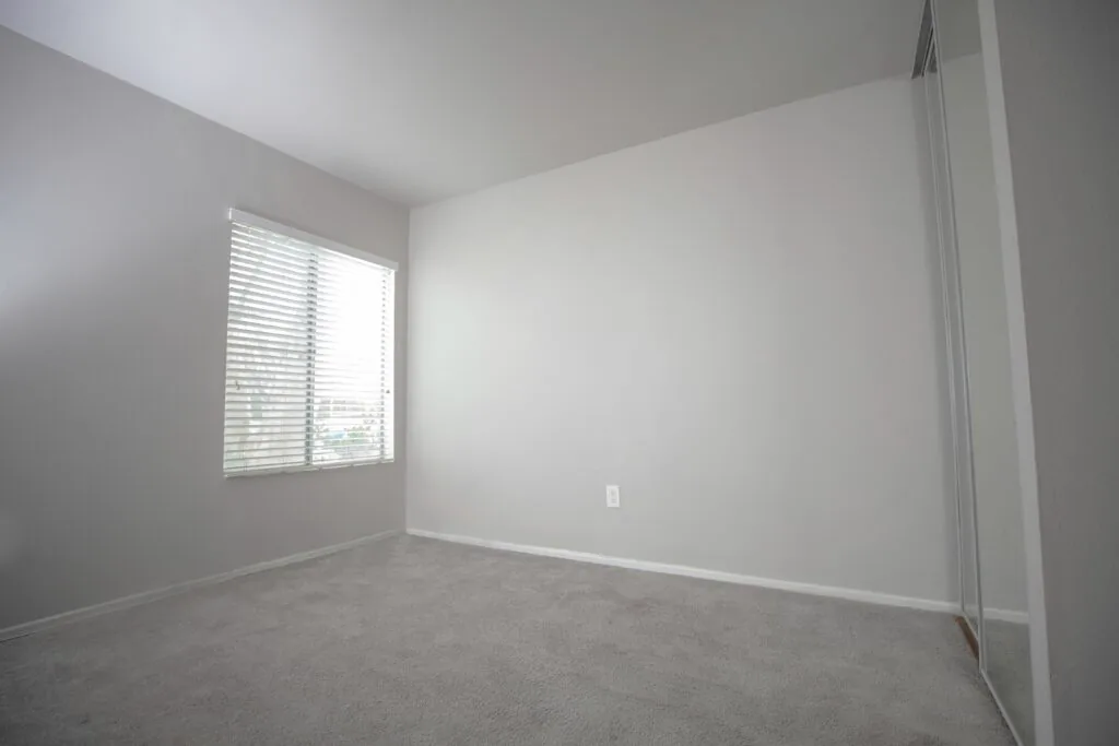 Bright carpeted living space